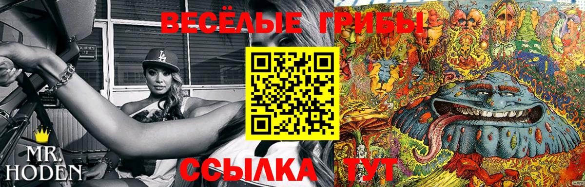 Галлюциногенные грибы Psilocybine cubensis Елизово