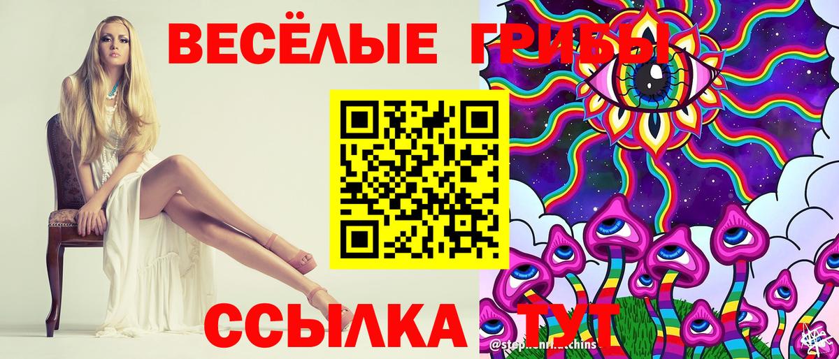 Галлюциногенные грибы Cubensis  Вход с VPN  Елизово 