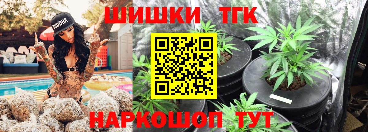 Бошки марихуана тримм  Вход с VPN  Елизово  Марихуана сатива 